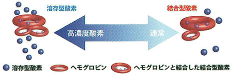 溶解型酸素と結合型酸素の図